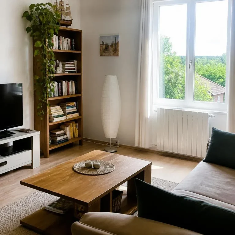 Appartement Charmant à Lure