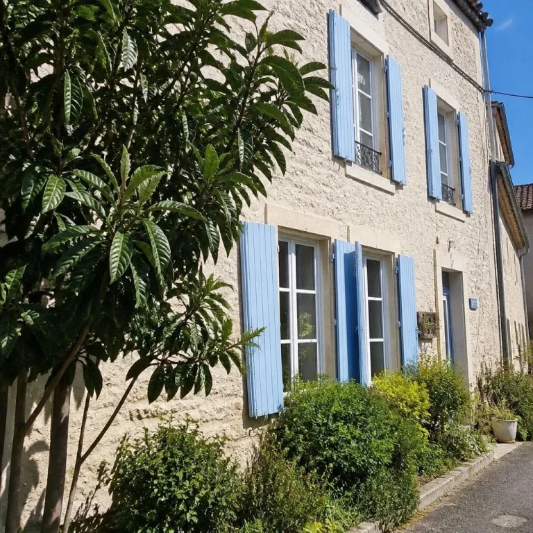 Appartement pour 4 personnes à Villedieu-sur-Indre, Appartement des Platanes à Villedieu