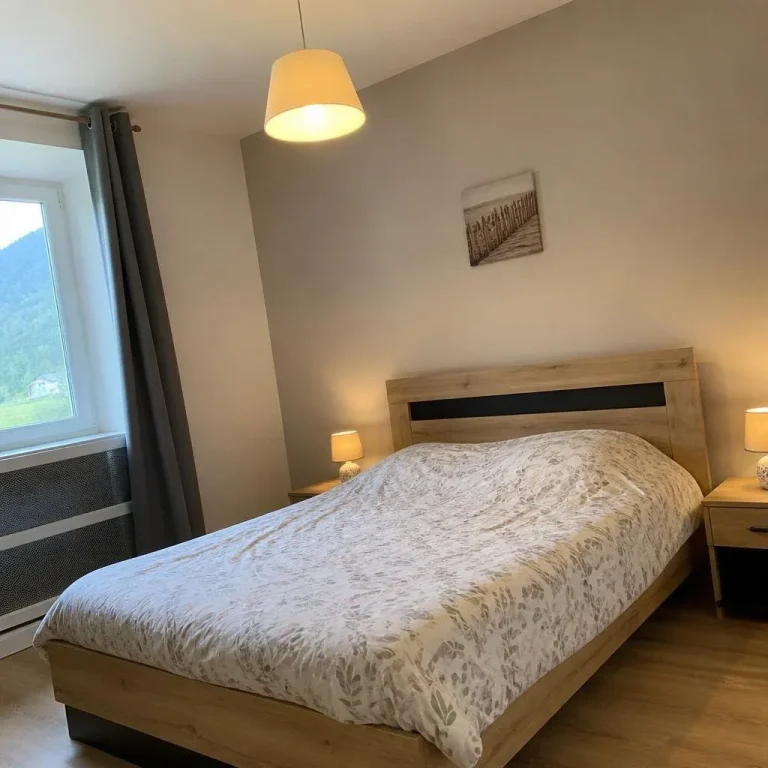 Appartement des Sources du Mont-Dore