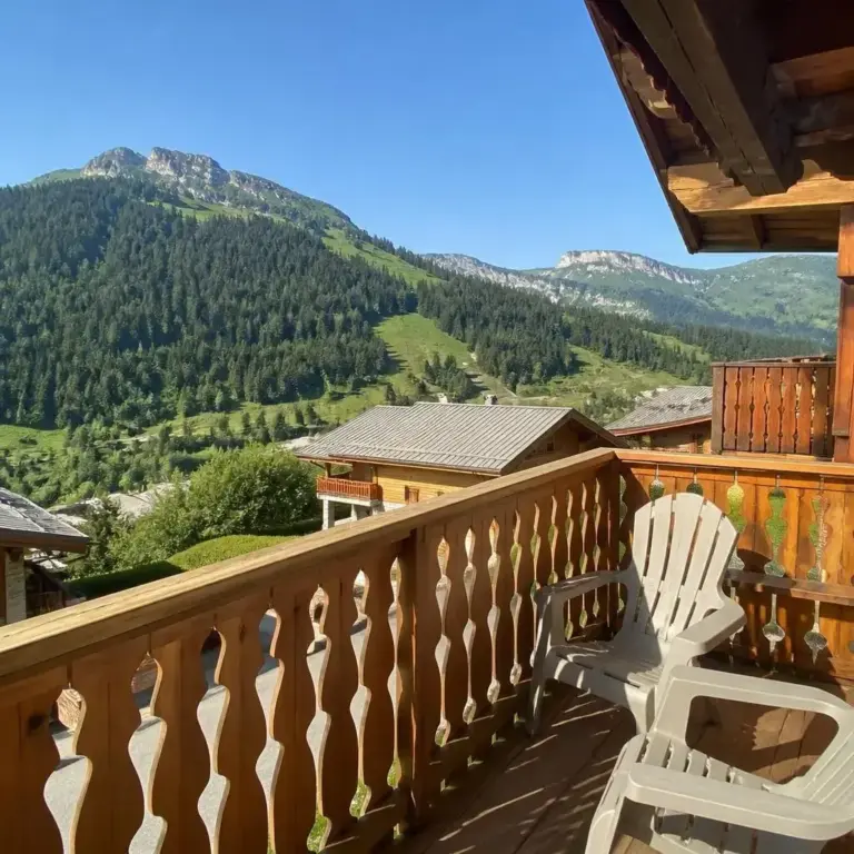 Location vacances Le Grand-Bornand photo 4