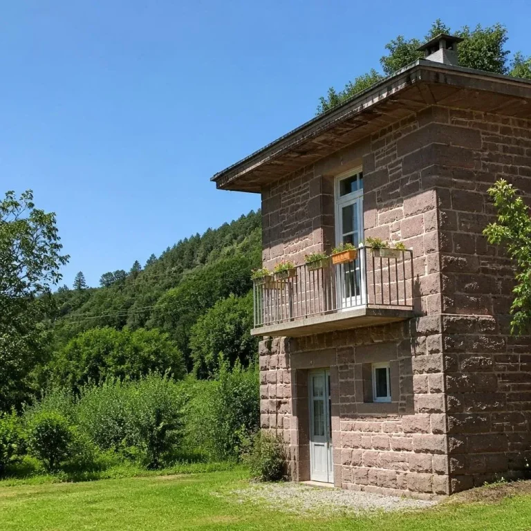 Location Le Thillot pour les vacances et meublé temporaire résultat 1