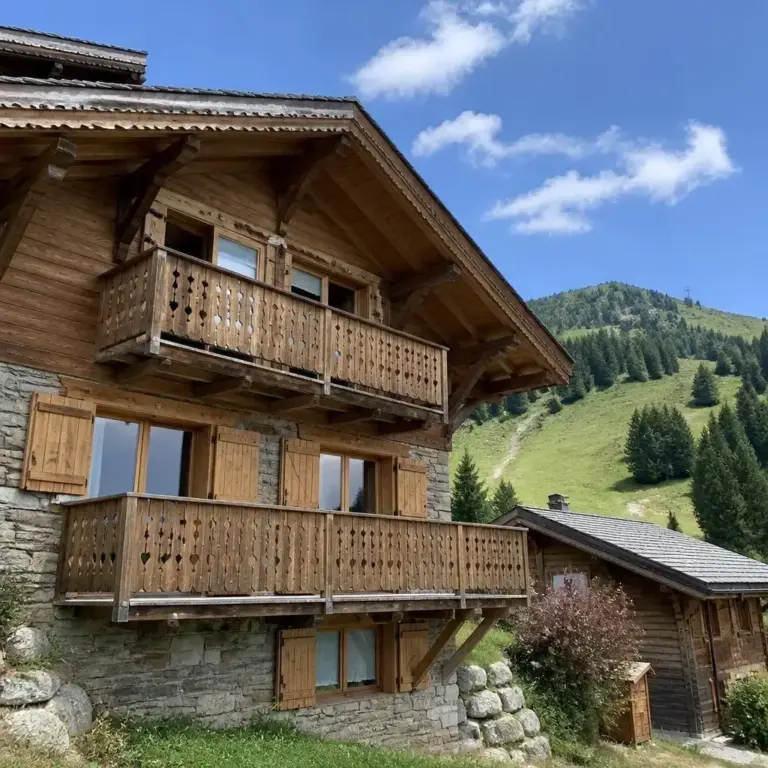Location vacances Châtel photo 4