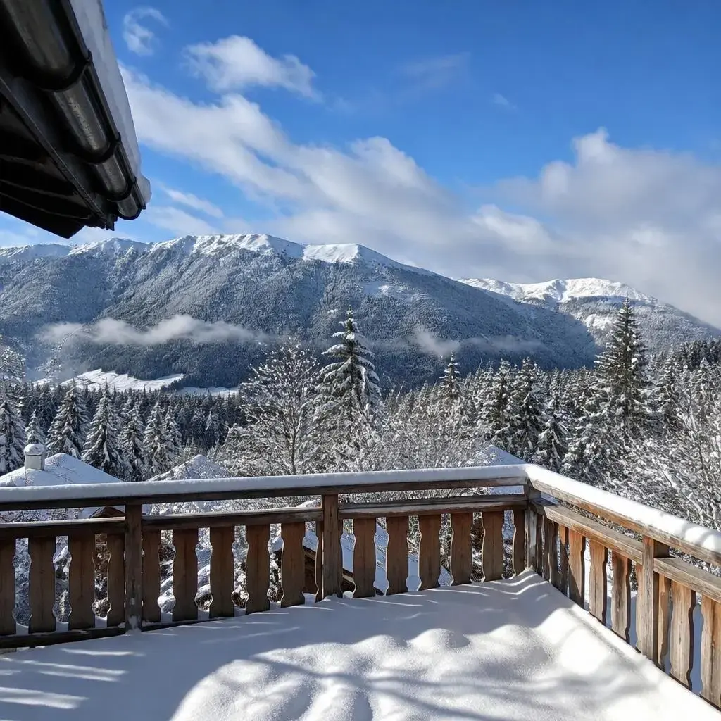 Location vacances Châtel photo 1