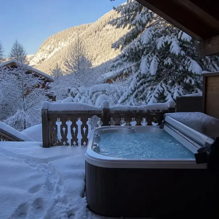 Location vacances Châtel photo 5