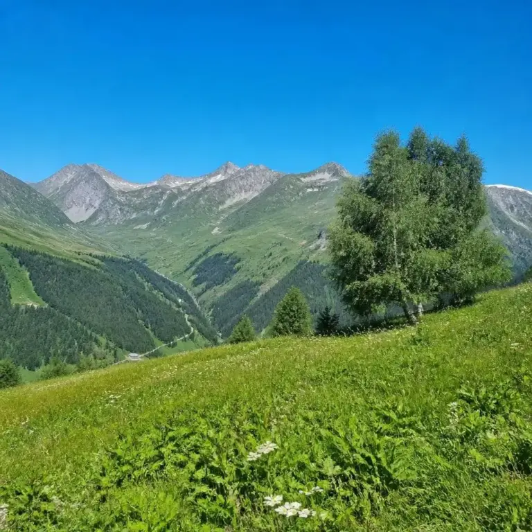 Maison pour 8 personnes à Les Allues, Confortable chalet avec jardin et jacuzzi