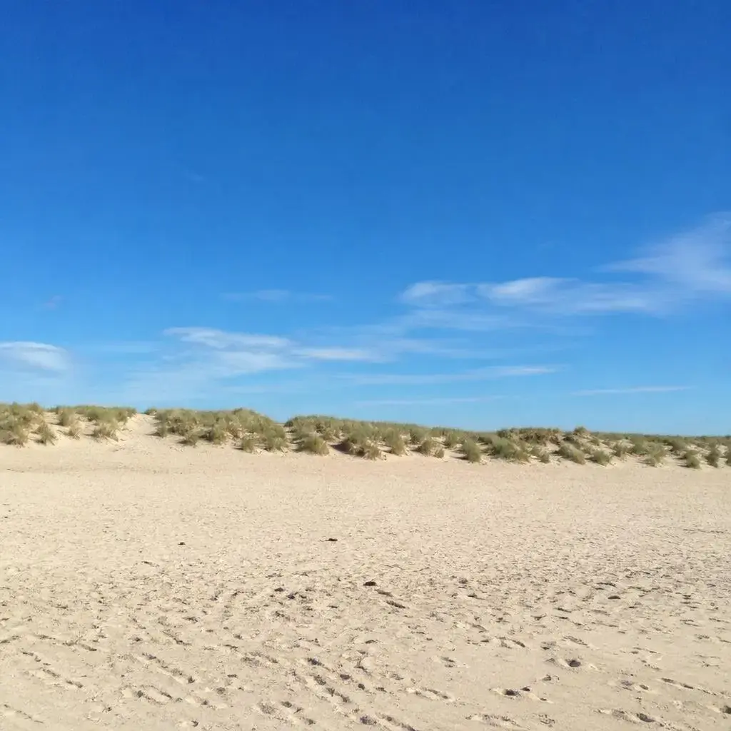 Location vacances Hauts-de-France Somme photo 12