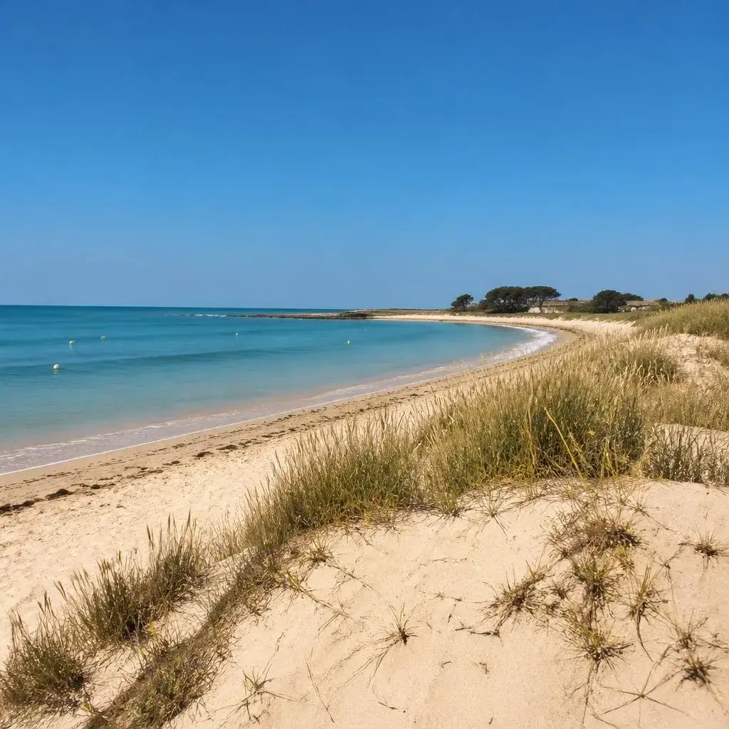 Location vacances Nouvelle-Aquitaine Charente-Maritime photo 9