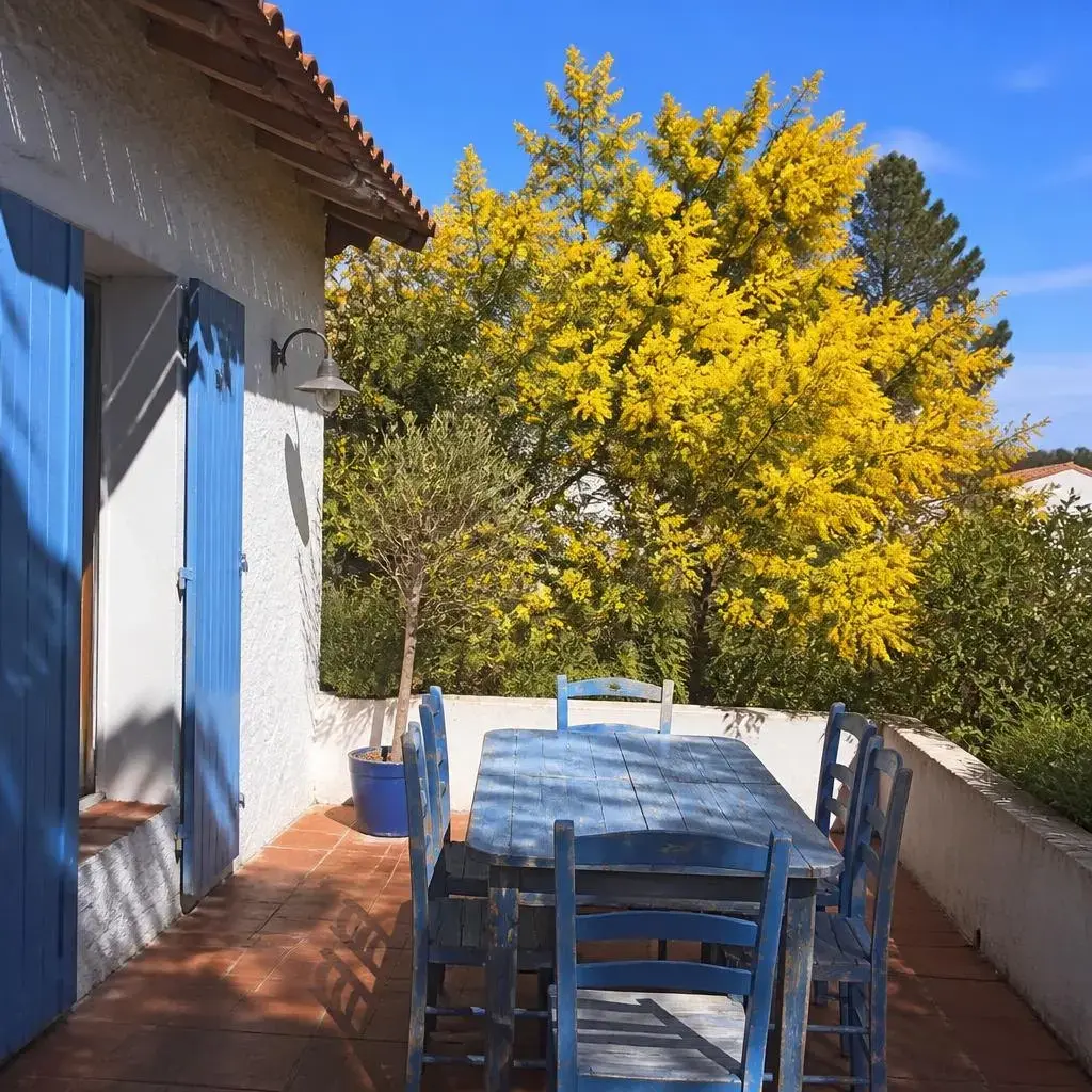 Location vacances La Tranche-sur-Mer photo 1