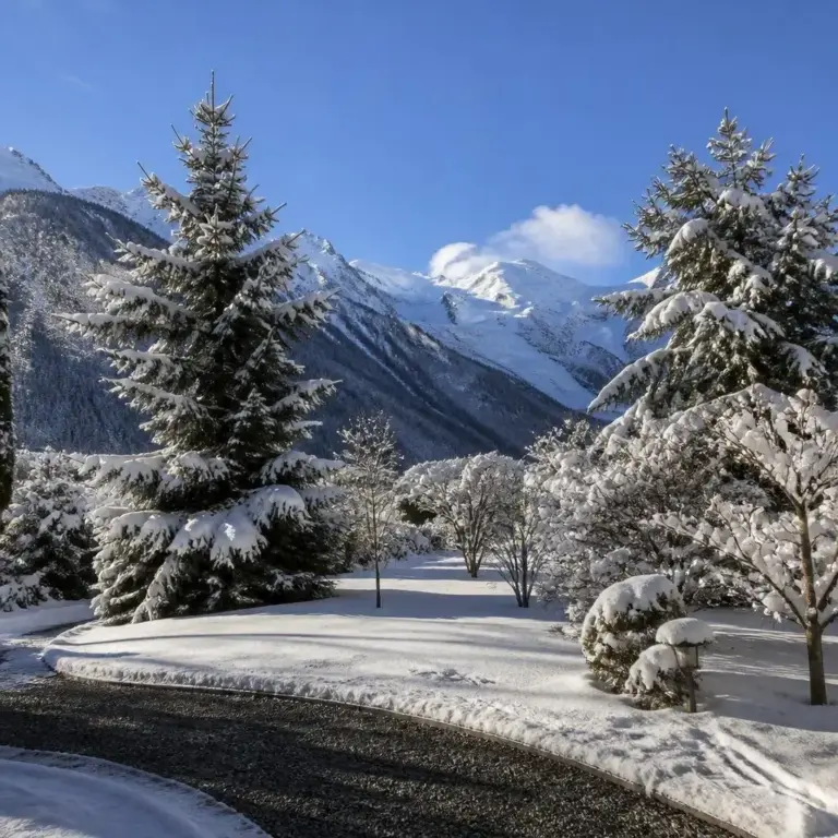 Location vacances Chamonix-Mont-Blanc photo 5