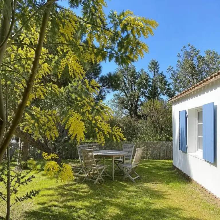 Location vacances Barbâtre photo 5