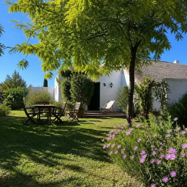 Location vacances Saintes-Maries-de-la-Mer photo 5