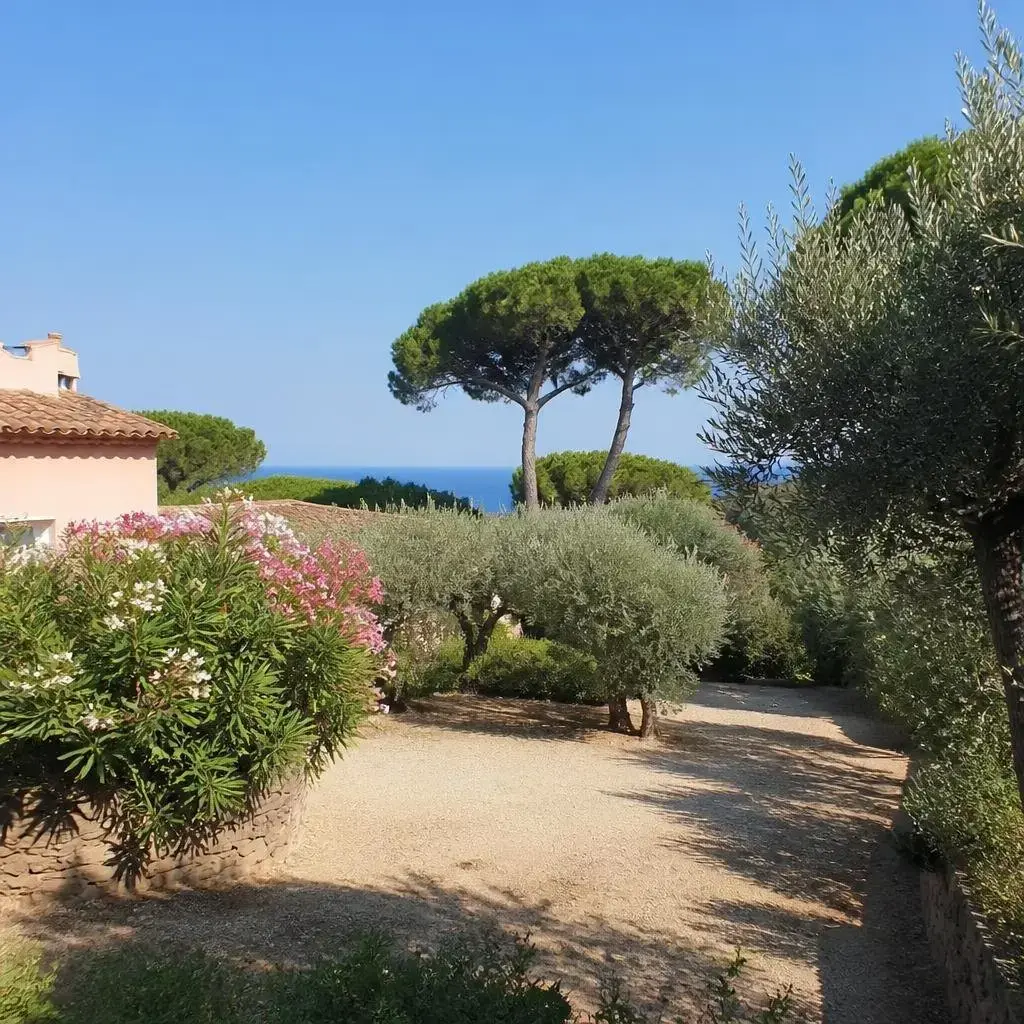 Location vacances Provence-Alpes-Côte d'Azur Var photo 10