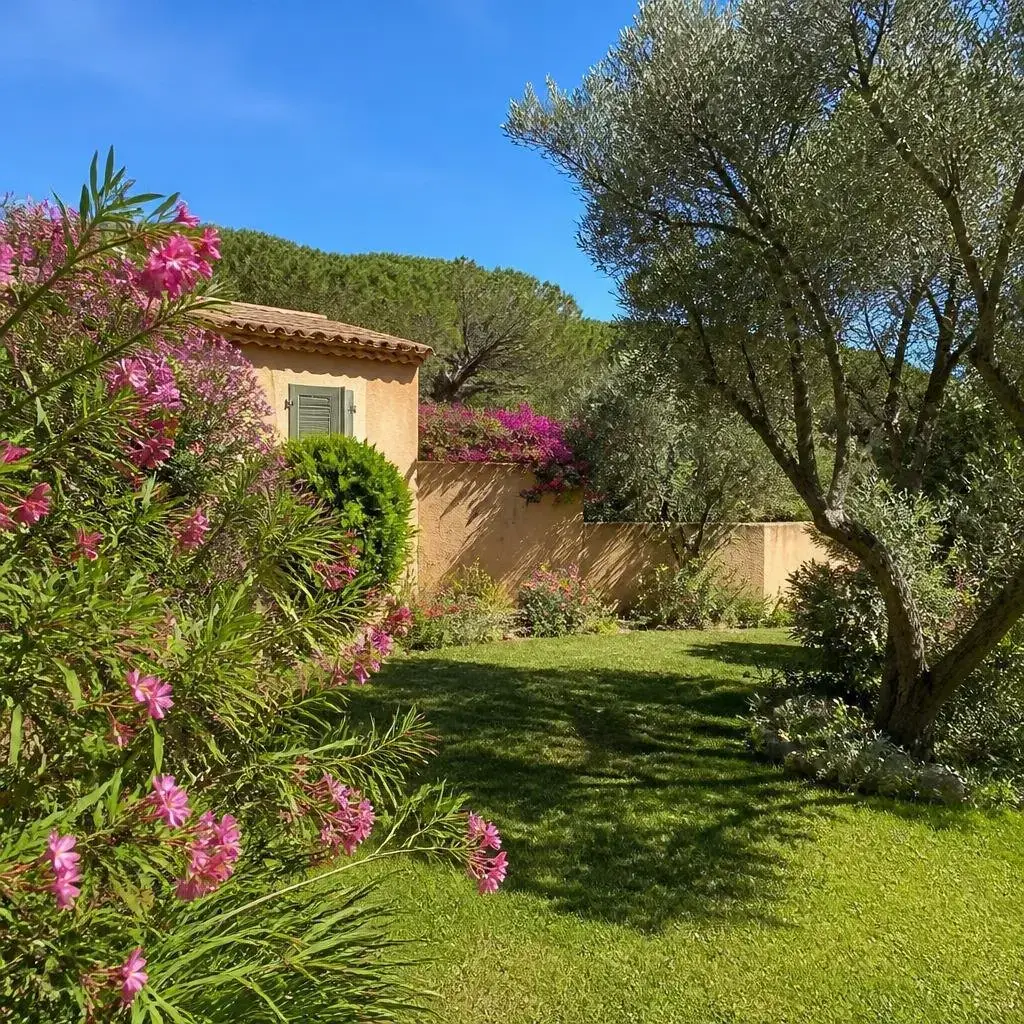 Location vacances Provence-Alpes-Côte d'Azur Var photo 4