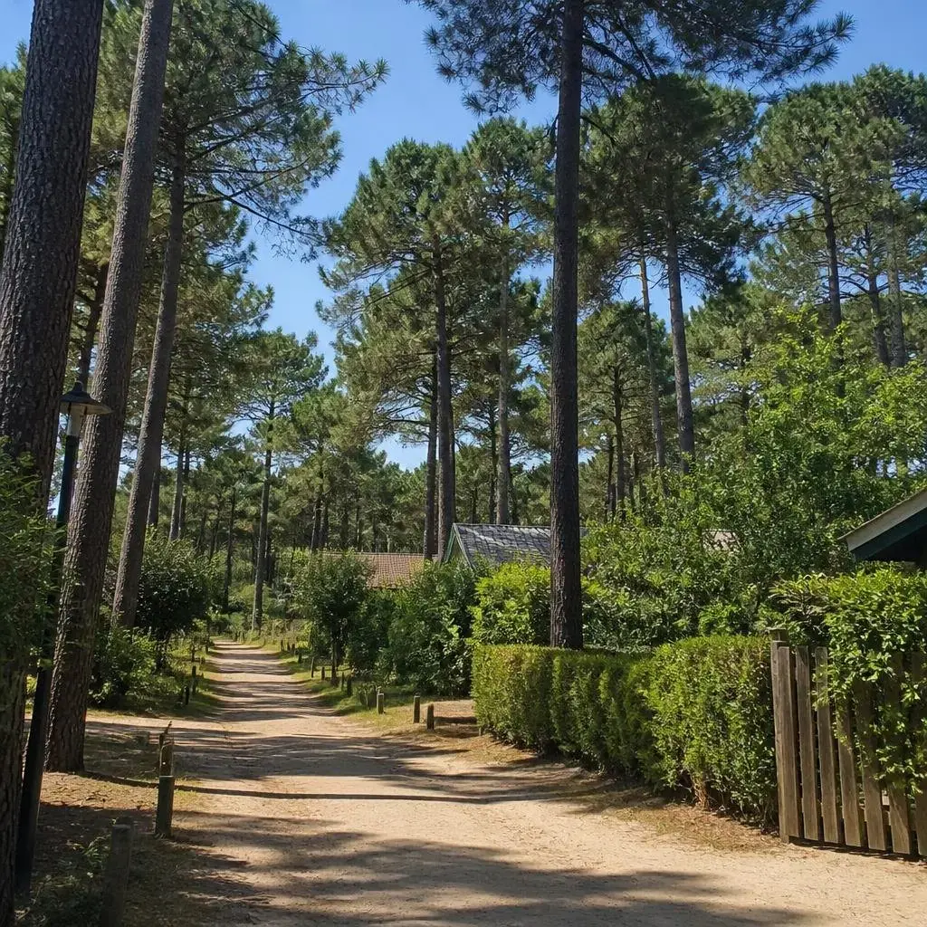 Location vacances Nouvelle-Aquitaine Gironde photo 7