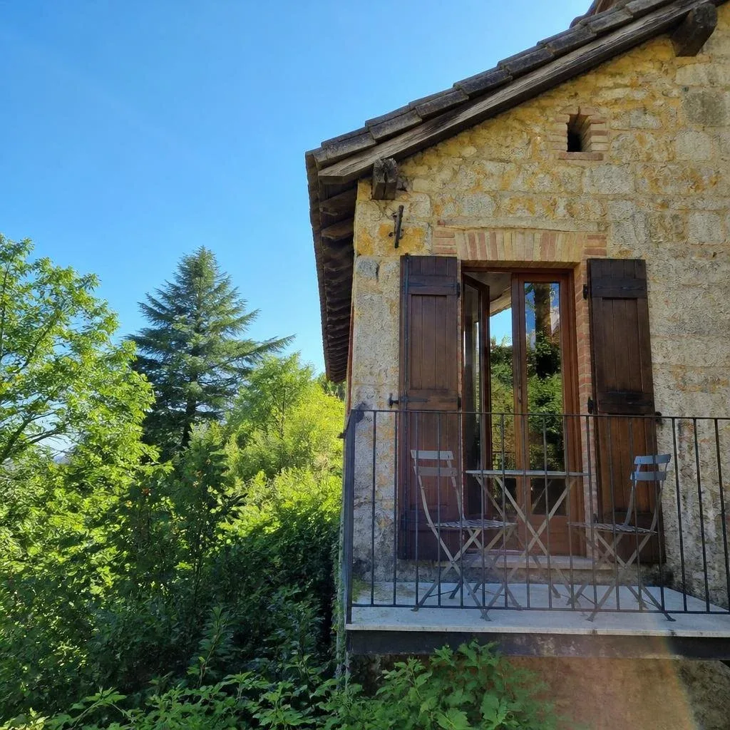 Studio des Libellules