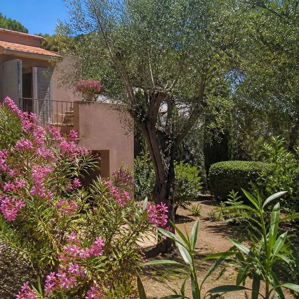 Location vacances Provence-Alpes-Côte d'Azur Var photo 7