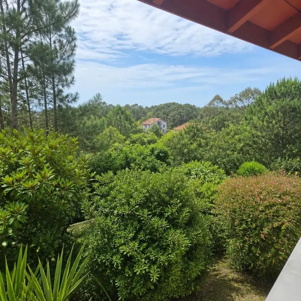 Location vacances Nouvelle-Aquitaine Landes photo 7