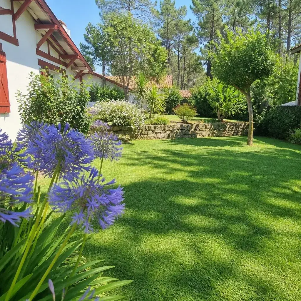 Location vacances Nouvelle-Aquitaine Landes photo 6