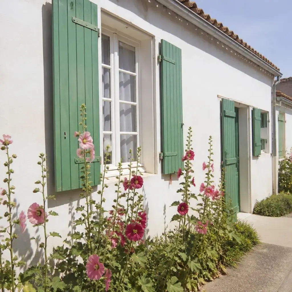 Location vacances Saint-Clément-des-Baleines photo 1